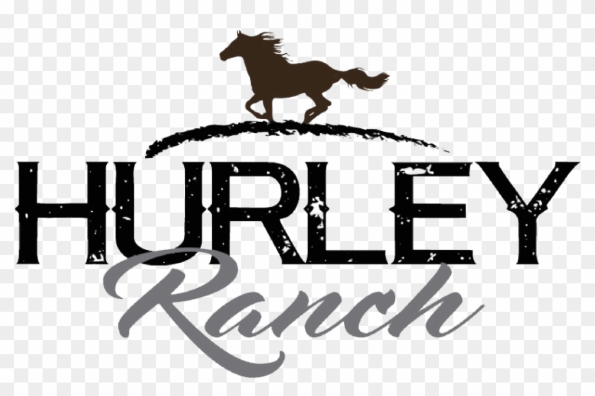 Hurley Ranch & Realty Came To Us Wanting To Address - Stallion Clipart #3868772