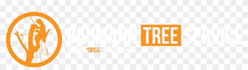 Orange Clipart #3868851