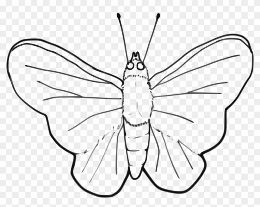 Brush-footed Butterflies Butterfly Insect Black And - Insect Black And White Clipart - Png Download #3870970