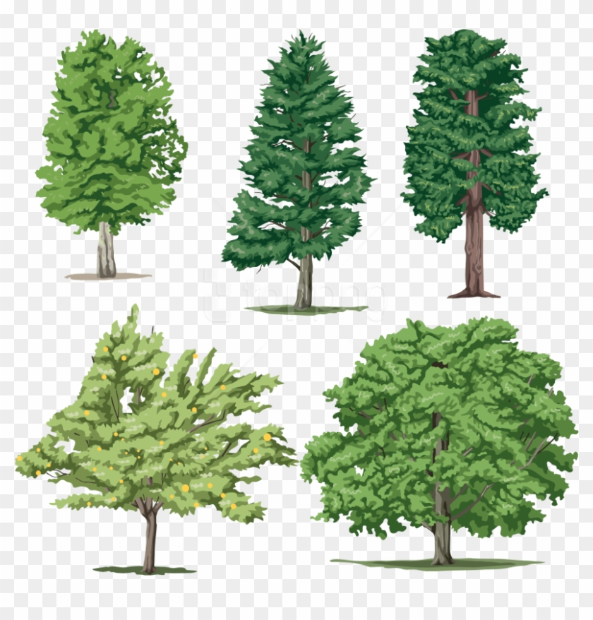 Free Png Download Tree Clipart Png Photo Png Images - Tom And Jerry Kids Transparent Png