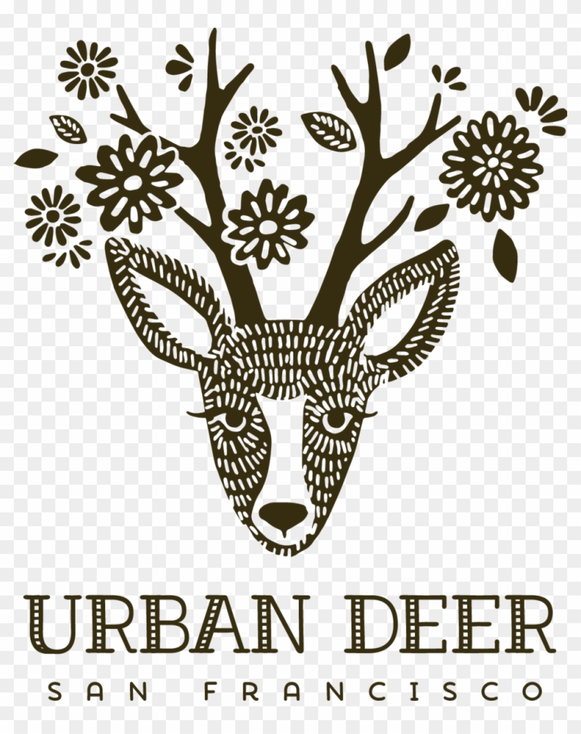 Hairbrush Clipart Soap Shampoo - Illustration - Png Download #3871204