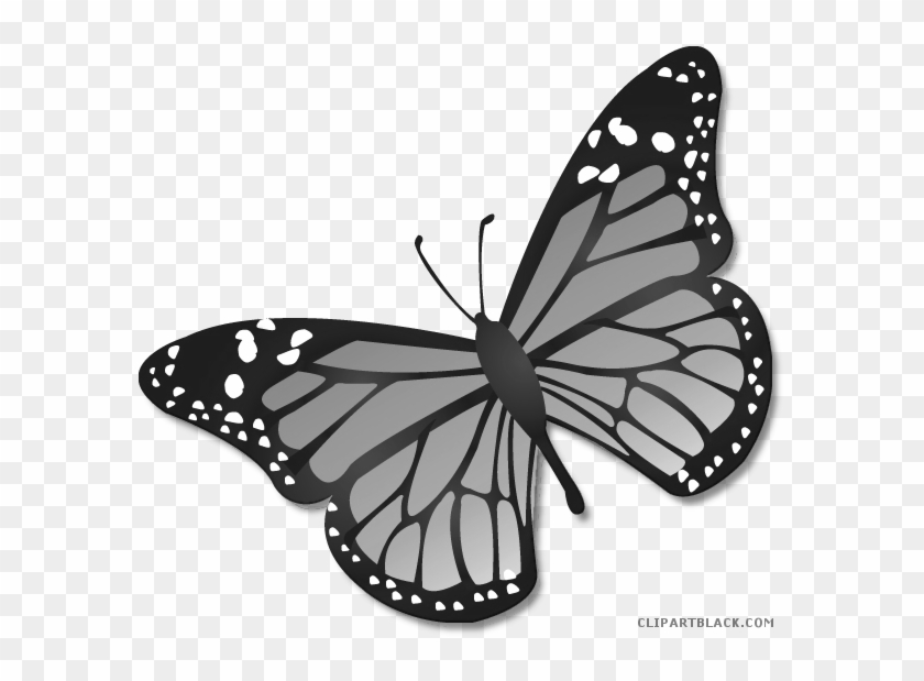 Monarch Butterfly Clipart Black And White - Transparent Background Monarch Butterfly Clipart - Png Download