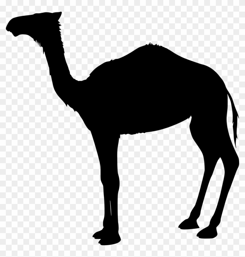 Camel Transparent Domestic Animal - Camel Clip Art - Png Download