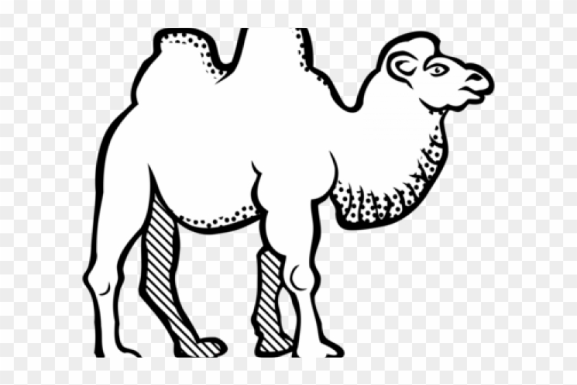 Camel Clipart Camel Train - Clip Art Black And White Camel - Png Download #3871785