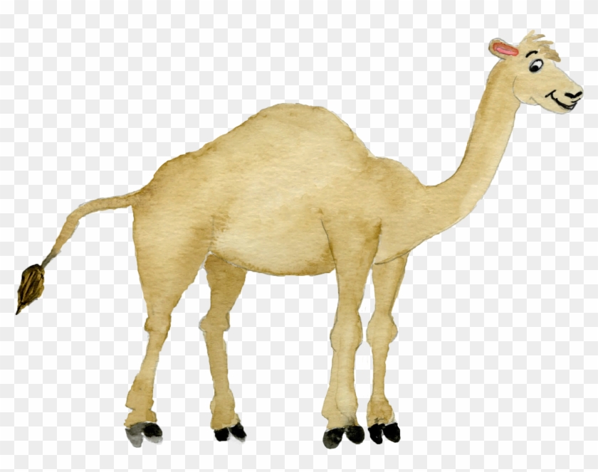 Camel Transparent Desert Clipart - Arabian Camel - Png Download