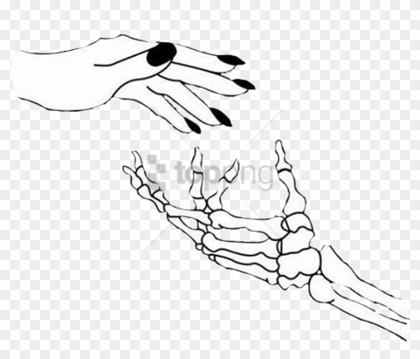 Skeleton Hand Holding Hand Clipart #3872134
