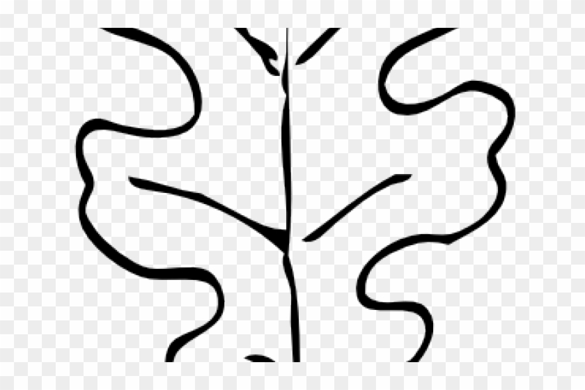 Oak Leaf Outline - Oak Leaf Clip Art Black And White - Png Download