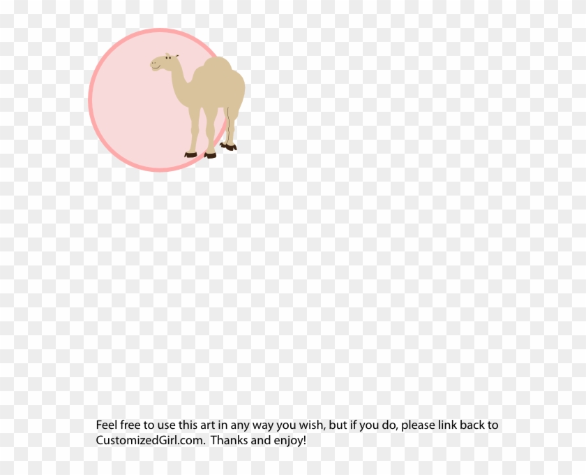 Animales Tiernos En Caricatura Clipart