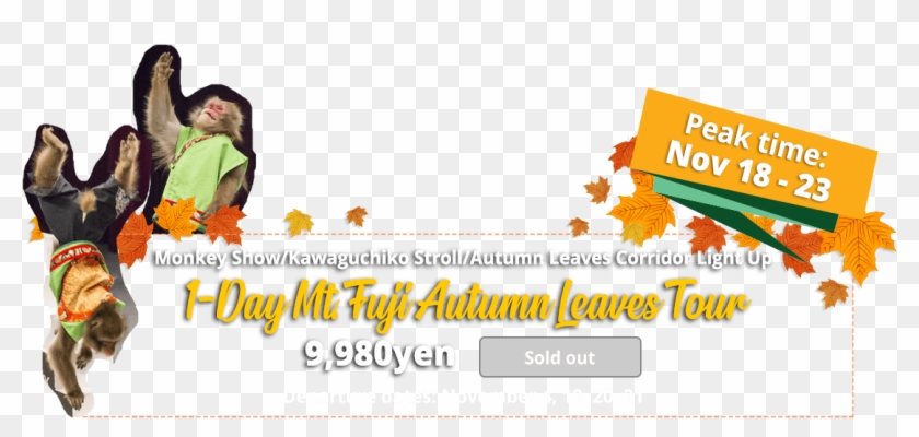 The Collaboration Between Mt - Girl Clipart #3872308