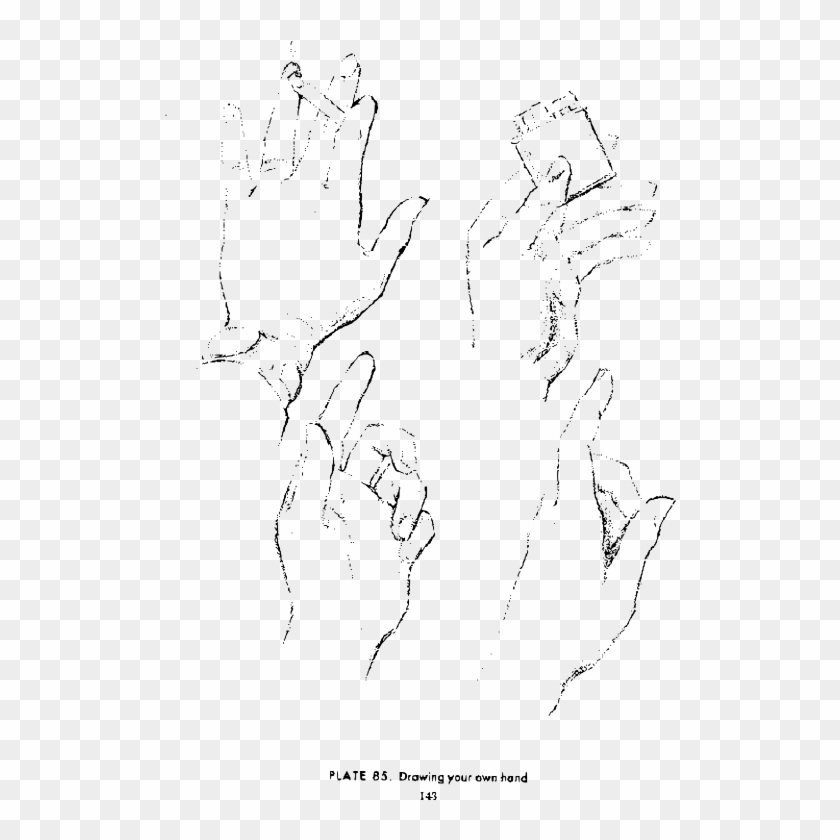 Andrew Loomis Drawing The Head And Hands 130 - Drawing Clipart
