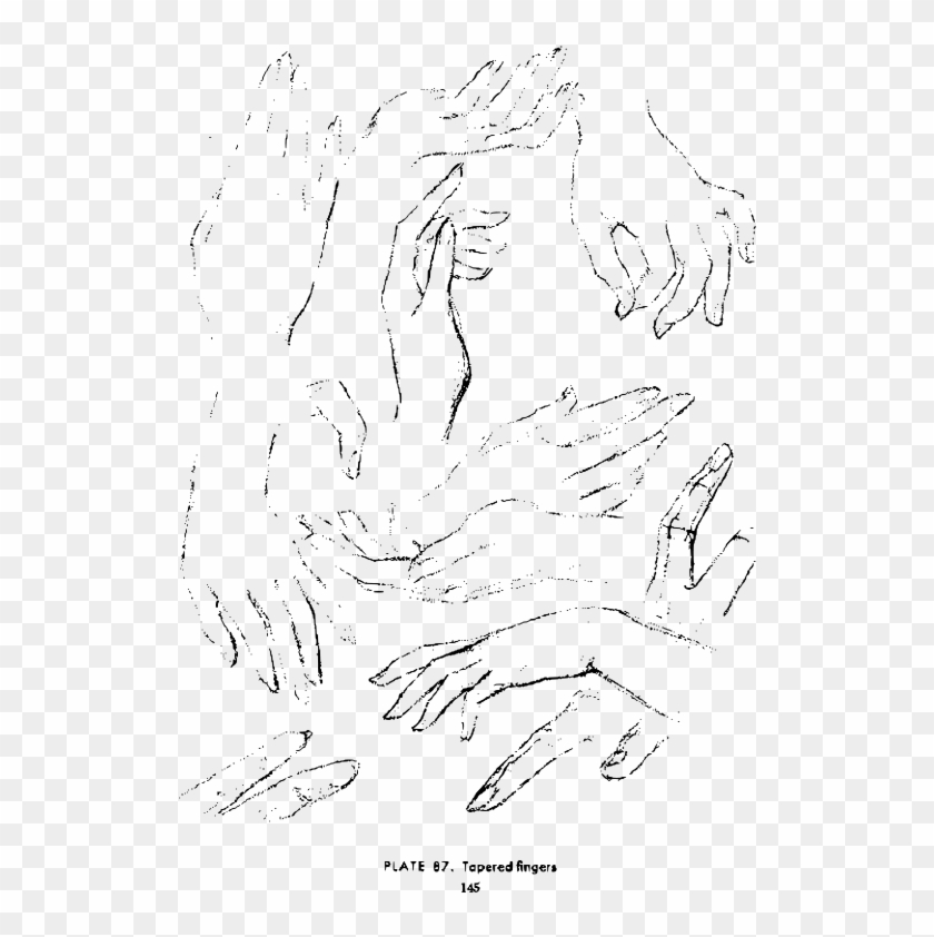 Andrew Loomis Drawing The Head And Hands 132 - Line Art Clipart
