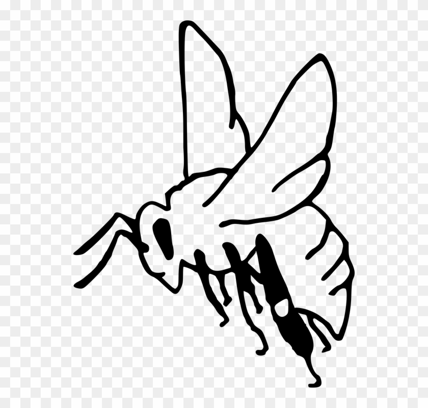 Bee Pollination Insect Garden Honey Sting Outline Clipart