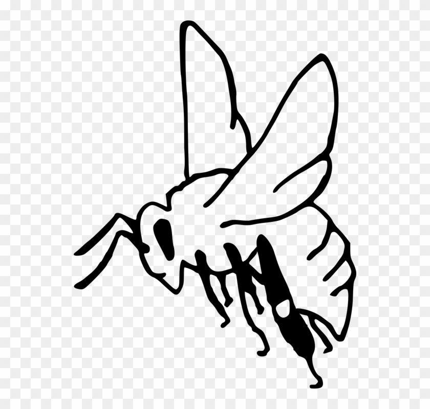 Bee Pollination Insect Garden Honey Sting Outline Clipart #3873071