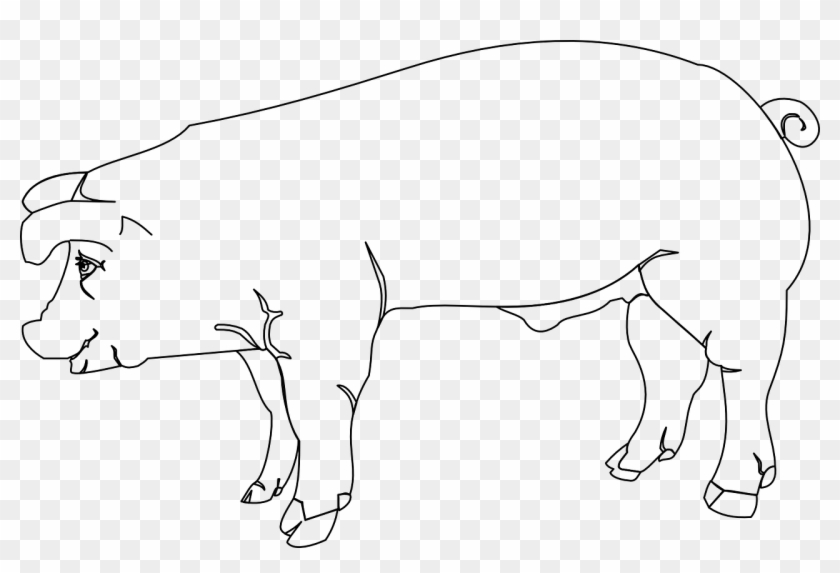 Pig Animal Pork Farm Mammal Png Image - Outline Of A Hog Clipart #3873124