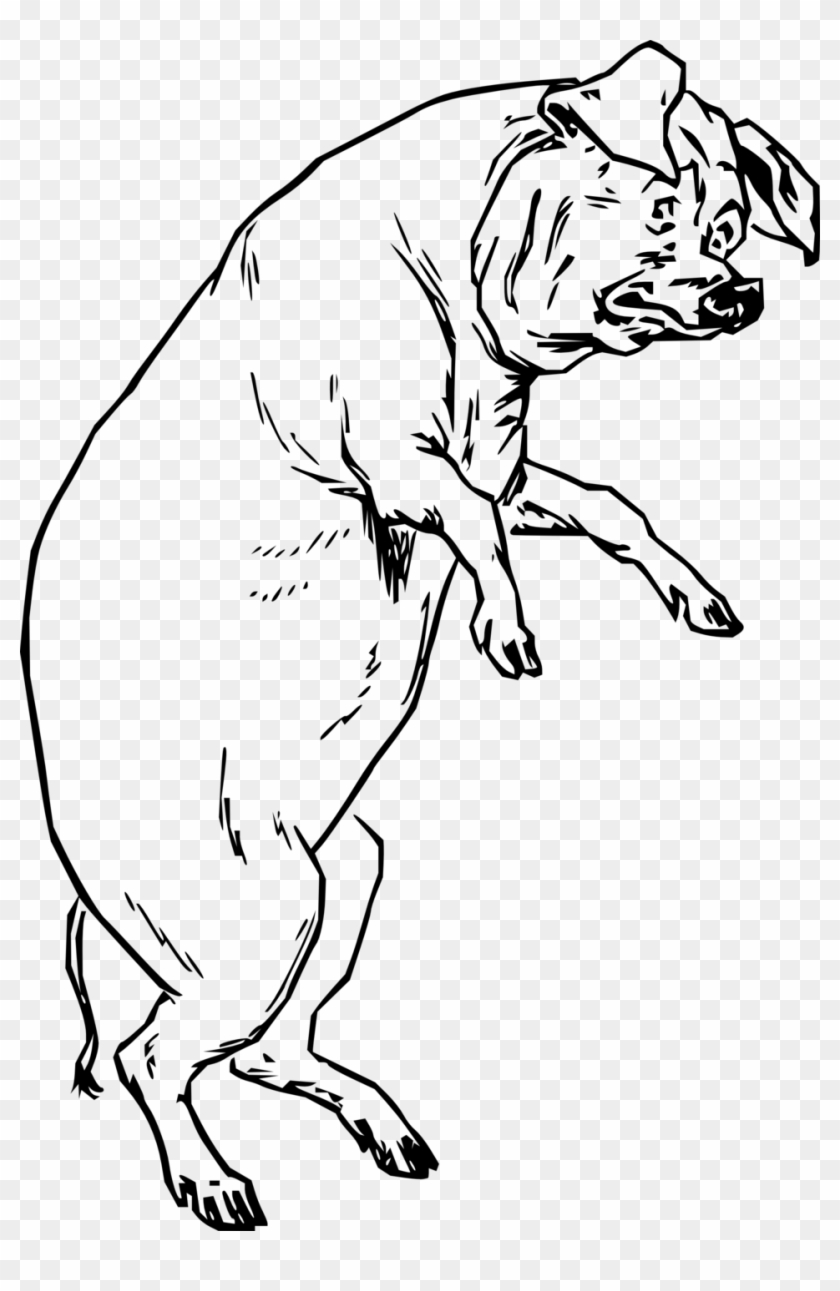 The Pig Who Had None - Pig On Hind Legs Clipart #3873274