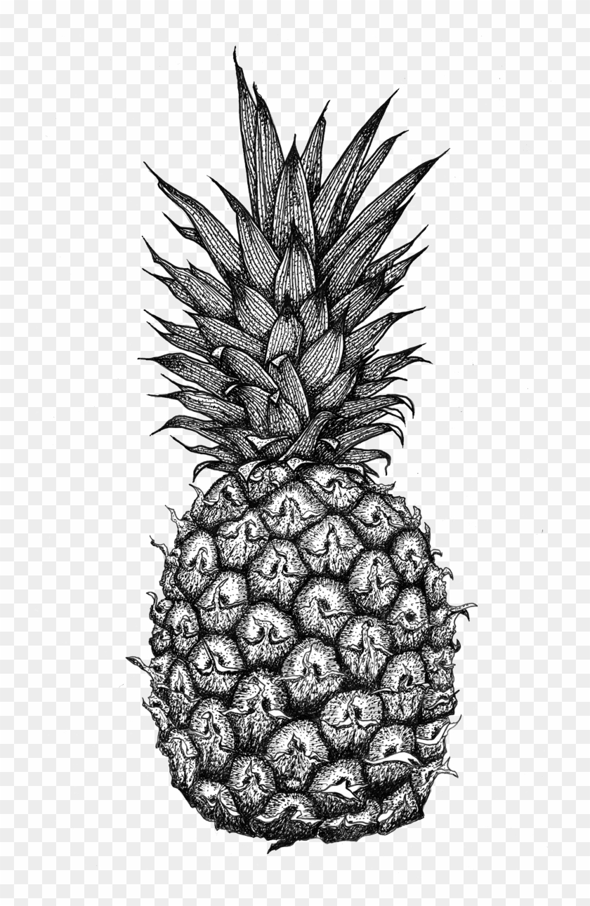 Pineapple Clipart #3873352