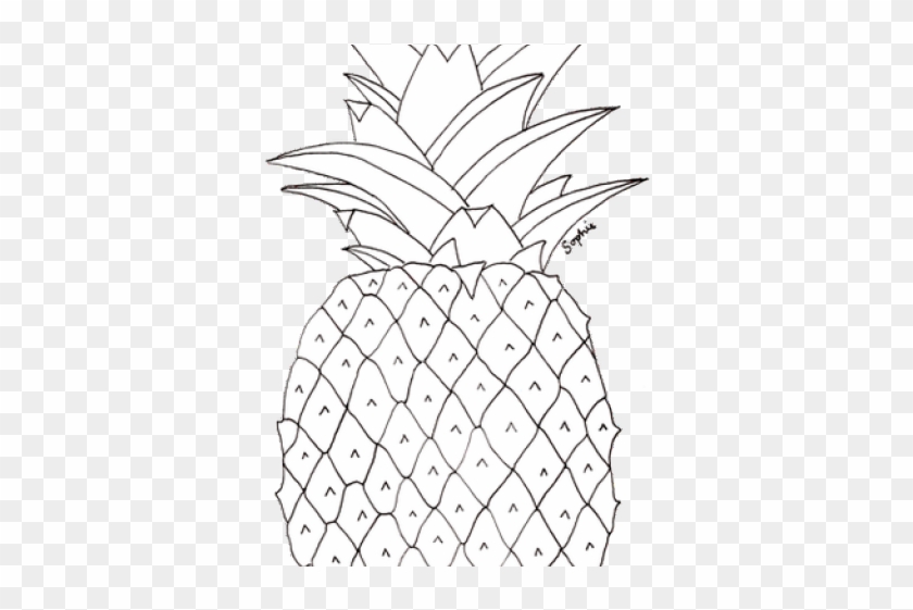 Pineapple Pictures To Colour Clipart #3873484
