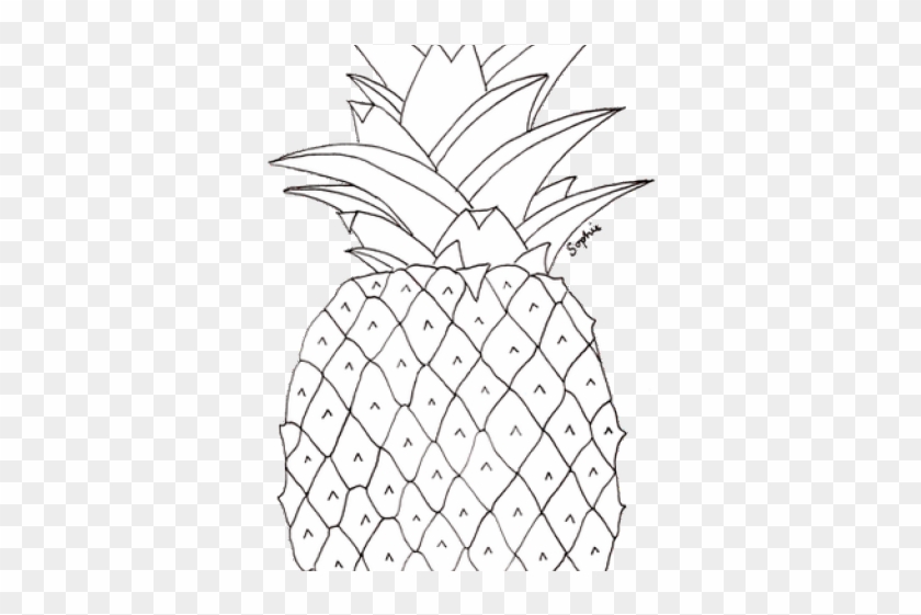 Pineapple Pictures To Colour Clipart #3873484