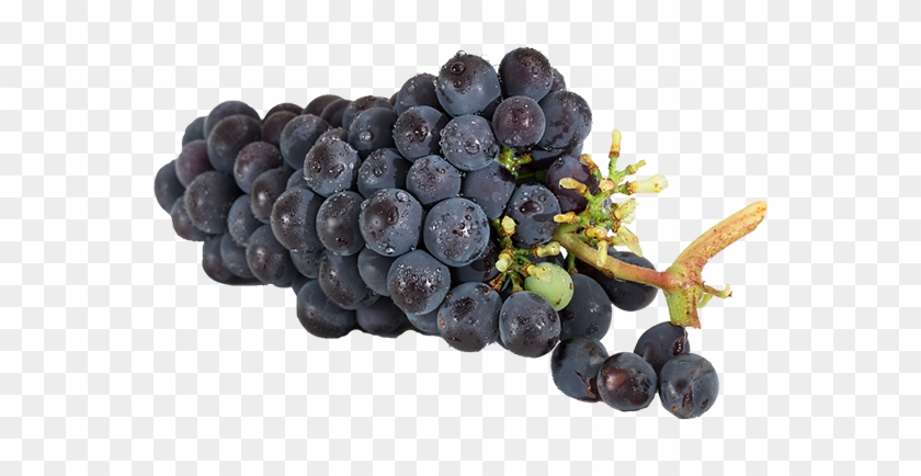 2-3 Tbsp Grape Jelly Egg - Grapes Side Effects Clipart #3875647