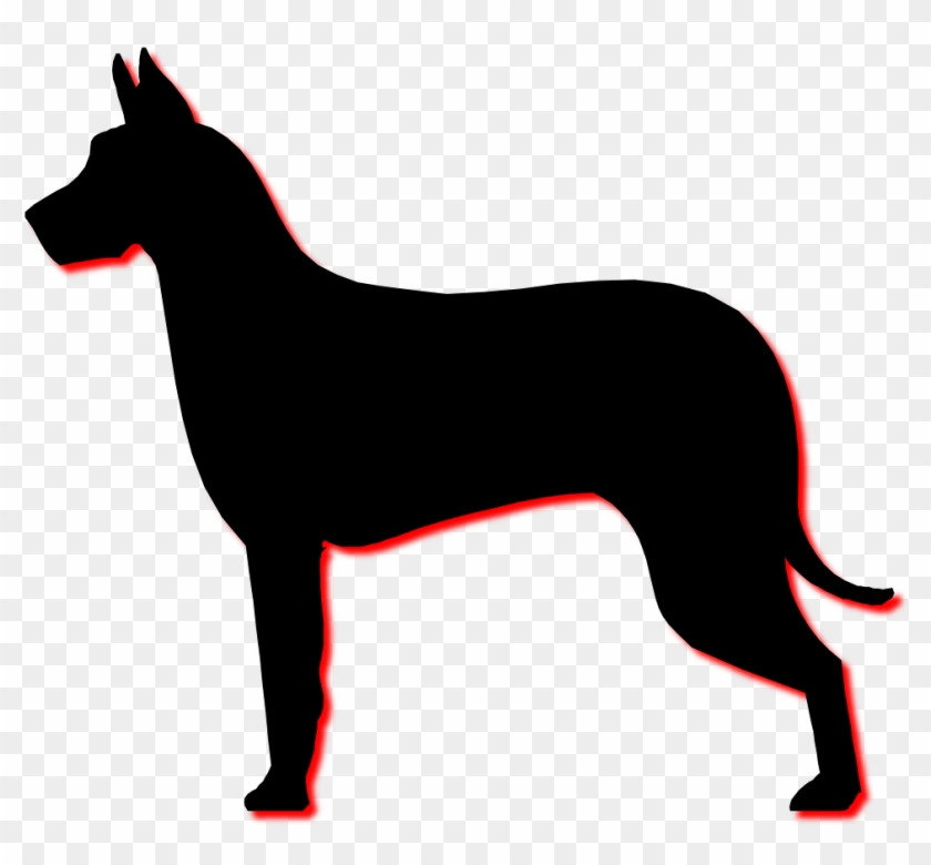Dog Profile Silhouette Animal Png Image - Perfil De Un Perro Clipart #3878466