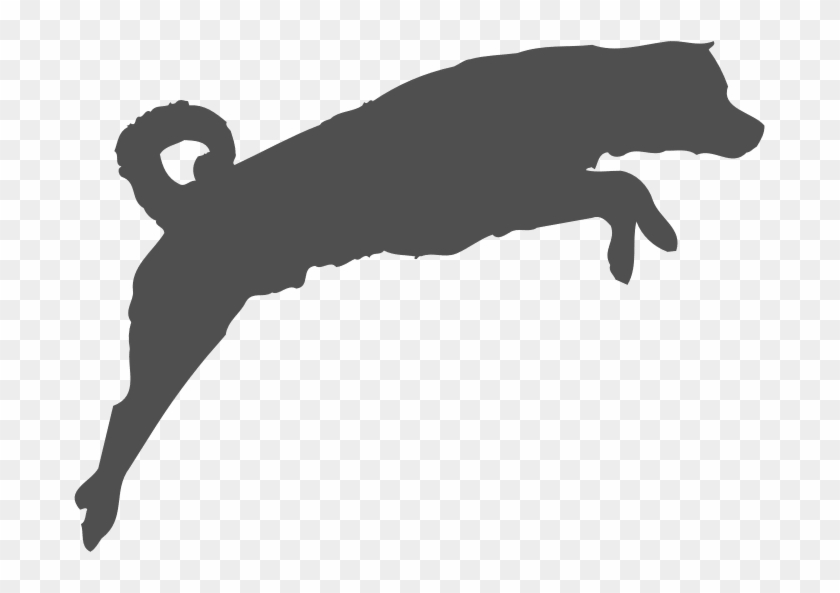 Agility Classes - Dog Catches Something Clipart #3878576