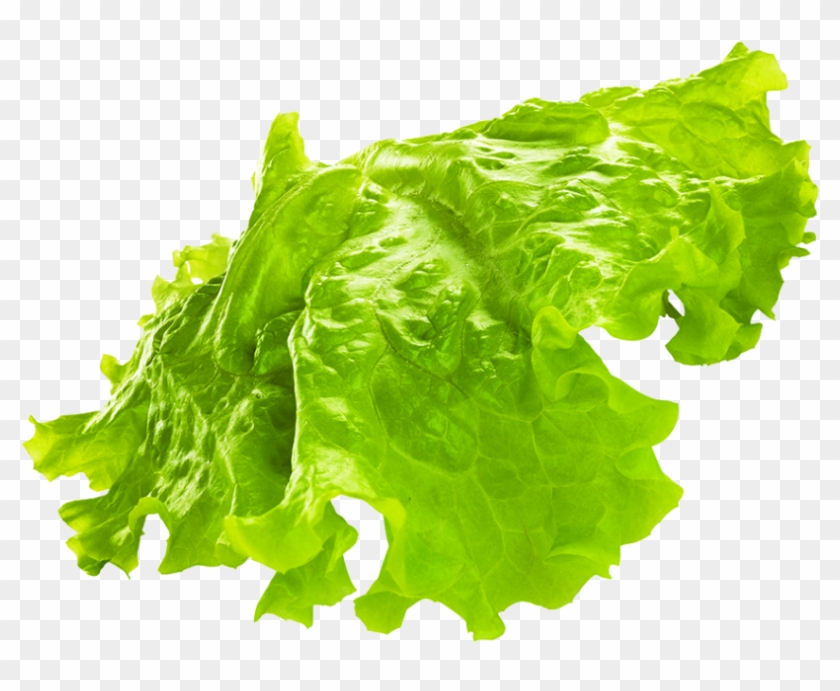 Green Png Transparent Image - Iceburg Lettuce Clipart