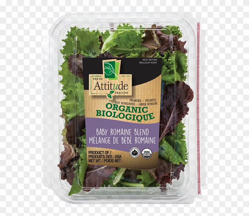 Organic Baby Romaine Blend - Fresh Attitude 11 Oz Clipart #3880184