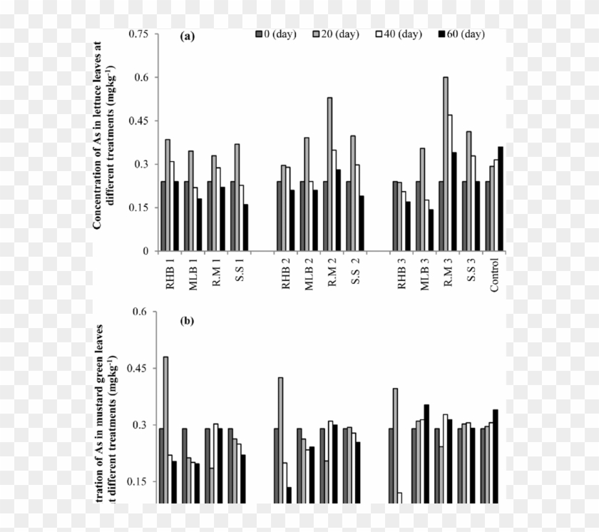 Effects Of Different Treatments On As Accumulation - Illustration Clipart #3880259