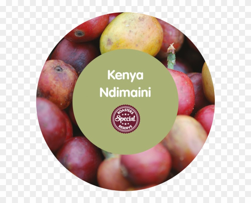 Spill The Beans - March Of Dimes Clipart