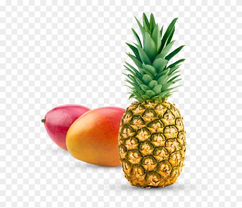 Tropical Fruits Clipart