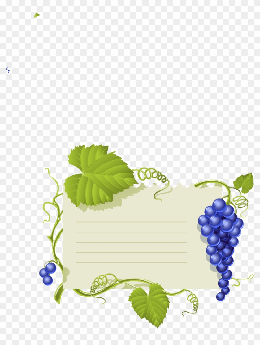 Grapevine Vector Wine Leave Clipart #3881773