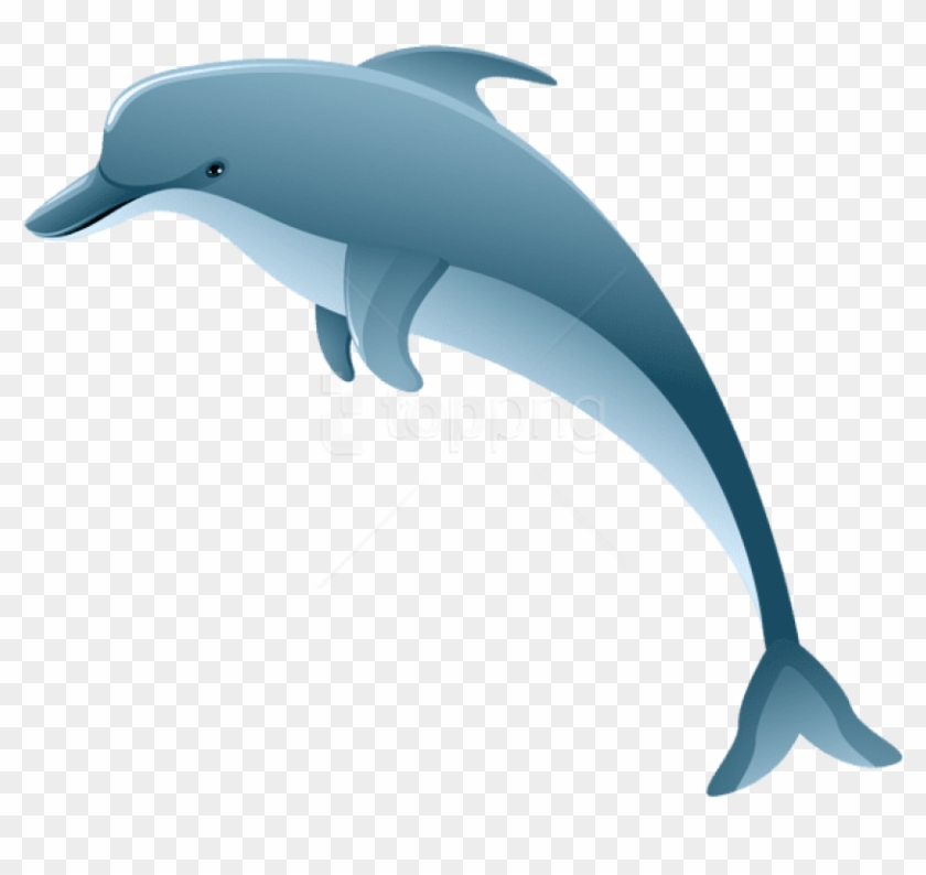 Free Png Download Dolphin Clipart Png Photo Png Images - Dolphin Clipart No Background Transparent Png #3882744