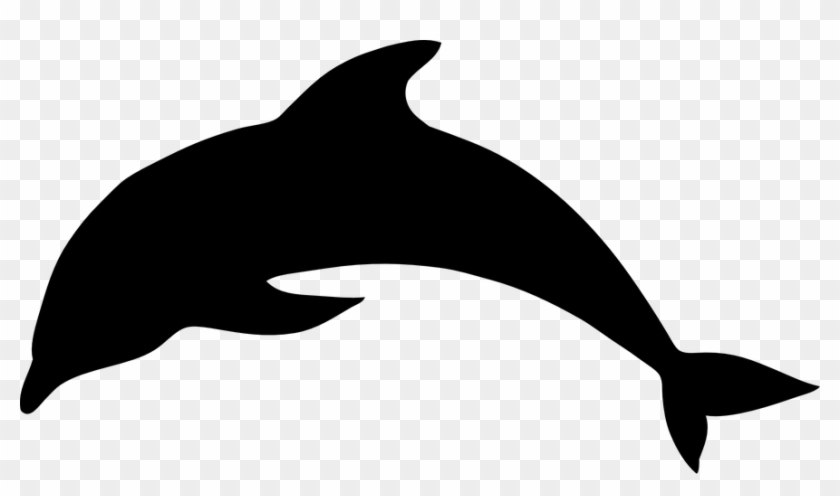 Dolphin Mammal Animal Ocean Sea Water - Dolphin Black And White Clipart - Png Download #3882952