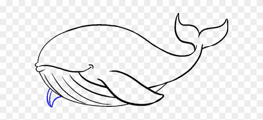 Drawing Shark Easy - Blue Whales To Draw Clipart #3883027