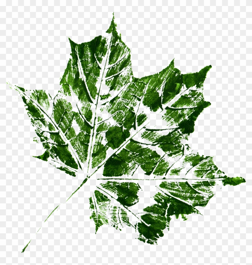 Free Download - Textures Leaves Transparent Clipart
