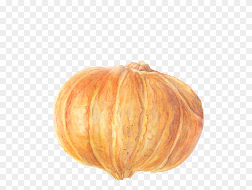 Pumpkin Clipart #3883961