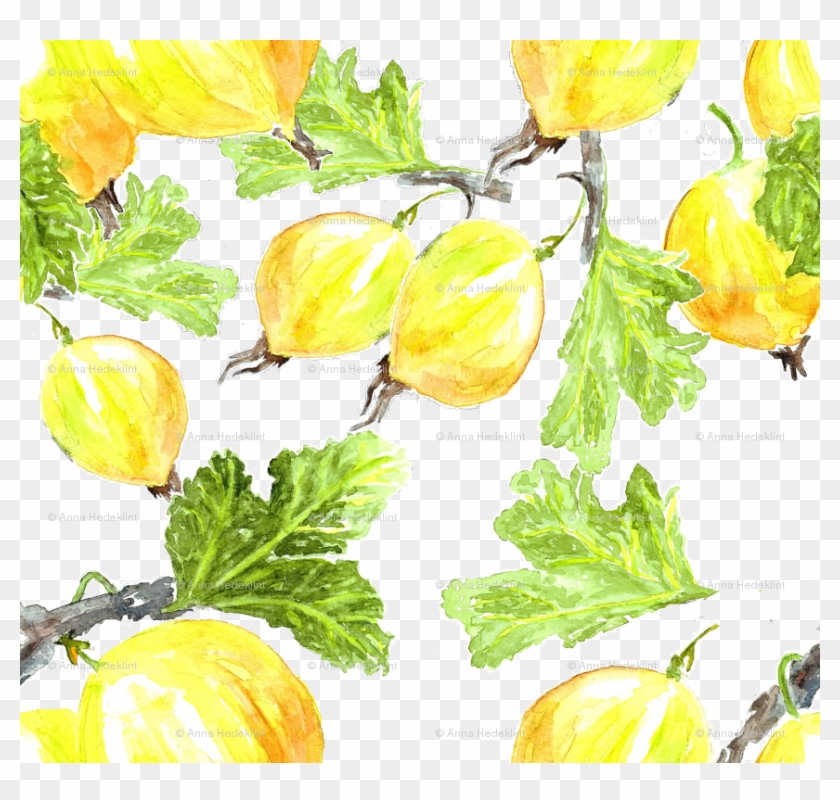 Watercolor Pumpkin Png Clipart