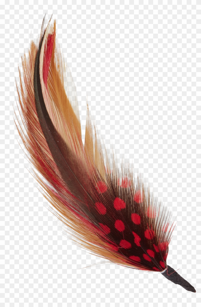 Hat Feather Png Clipart #3885142