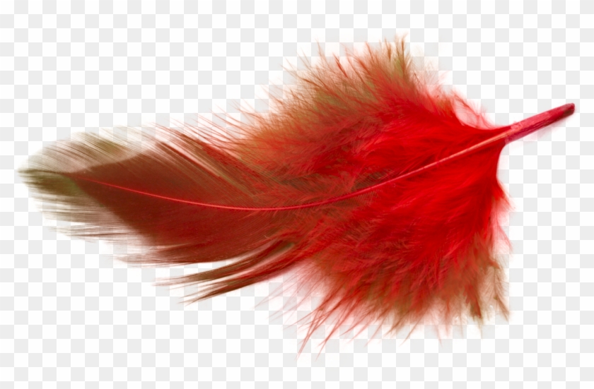 Picture - Earrings Clipart #3886119