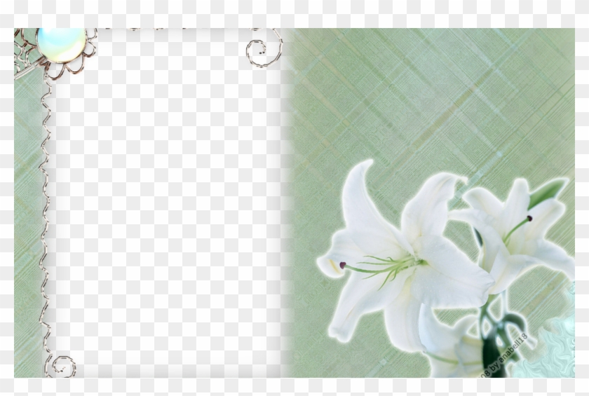 White Flower Frame Png Transparent Png Mart - Portable Network Graphics Clipart