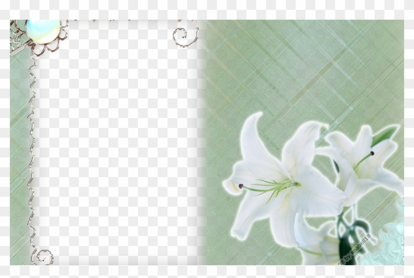 White Flower Frame Png Transparent Png Mart - Portable Network Graphics Clipart #3886607