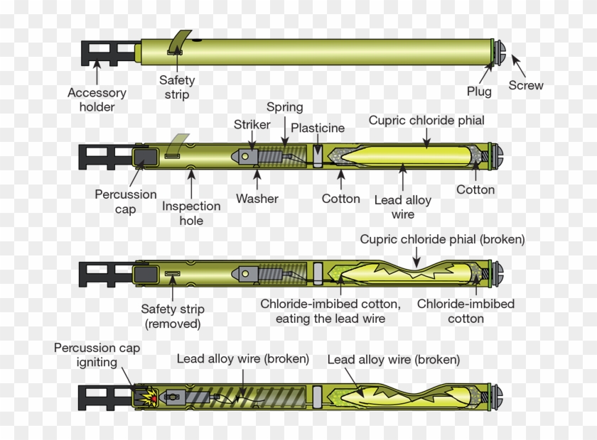 Two Other Sleeping Beauties Are Thought To Have Fallen - English Pencil Detonator Clipart