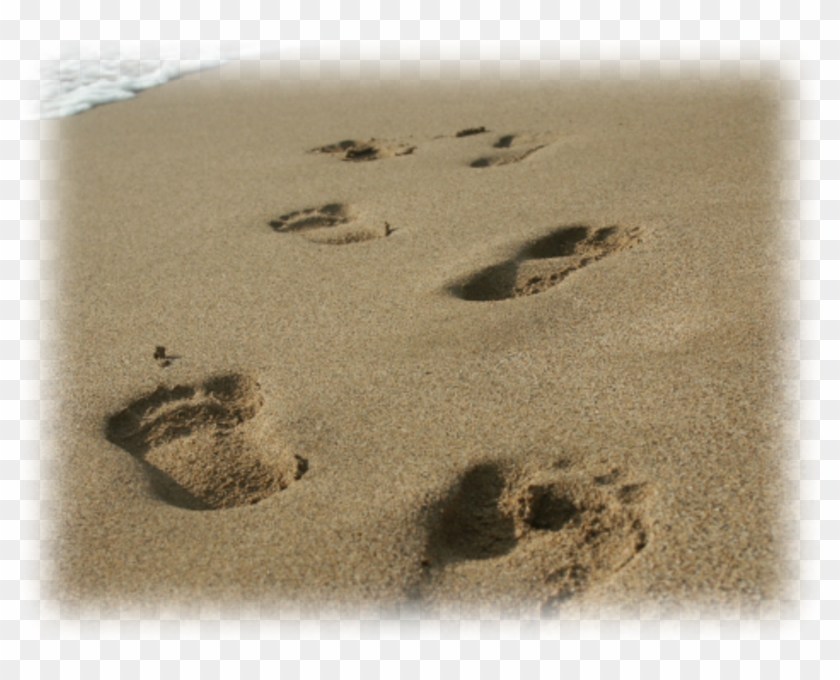 Buy Tickets For Walk As Jesus Walked - Short Footprints In The Sand Quotes Clipart #3887177