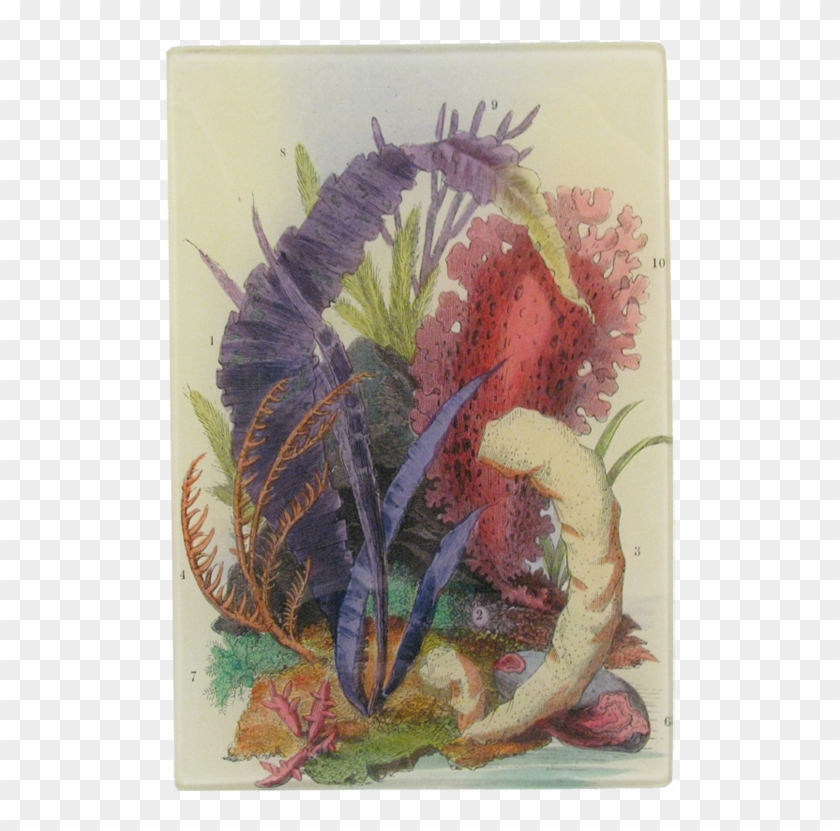 Illustration Clipart