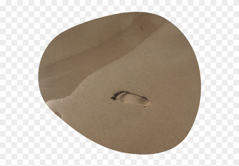 Color Of The Year 2019 Color Of The Year - Honeybee Clipart