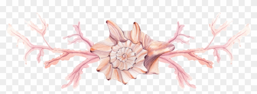 Pink Conch Png Transparent - Desert Rose Clipart #3888111