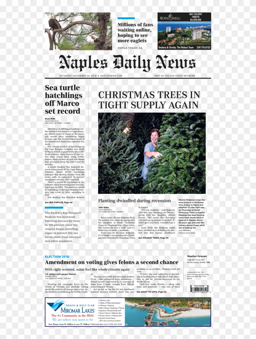Naples Daily Newsverified Account - Naples Daily News Clipart #3888195