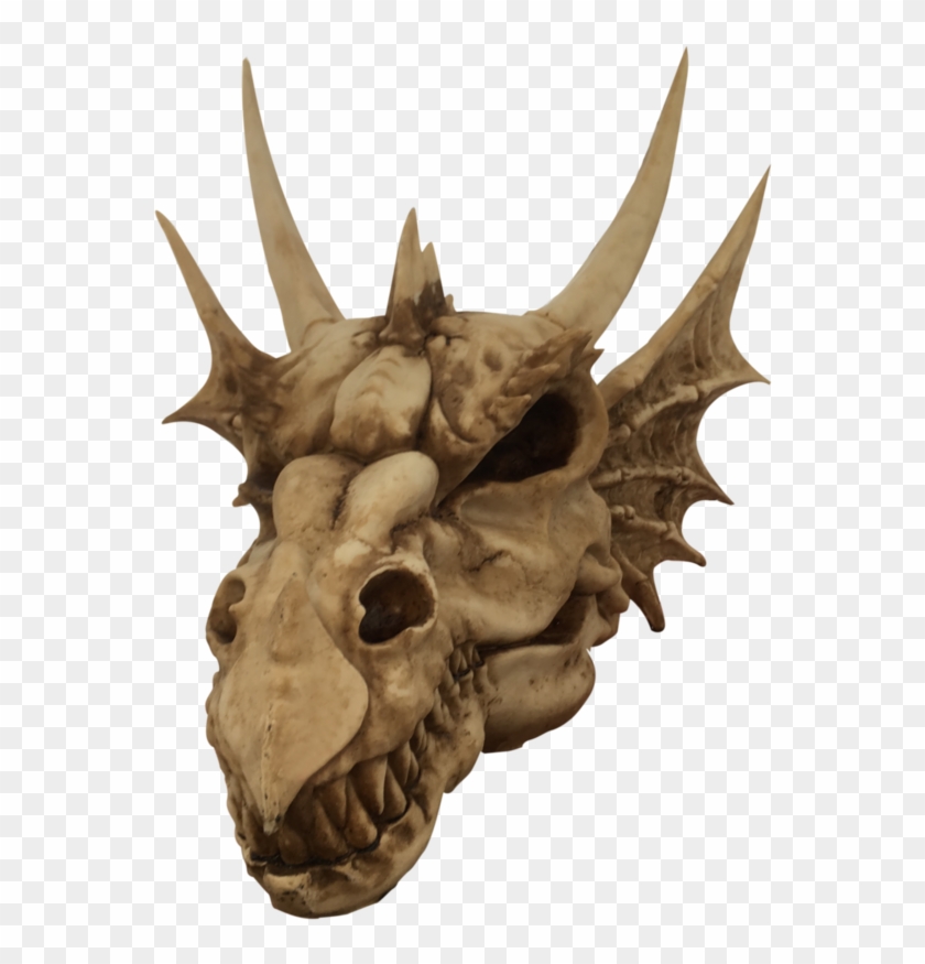 Dragon Skull Png Clipart #3888338