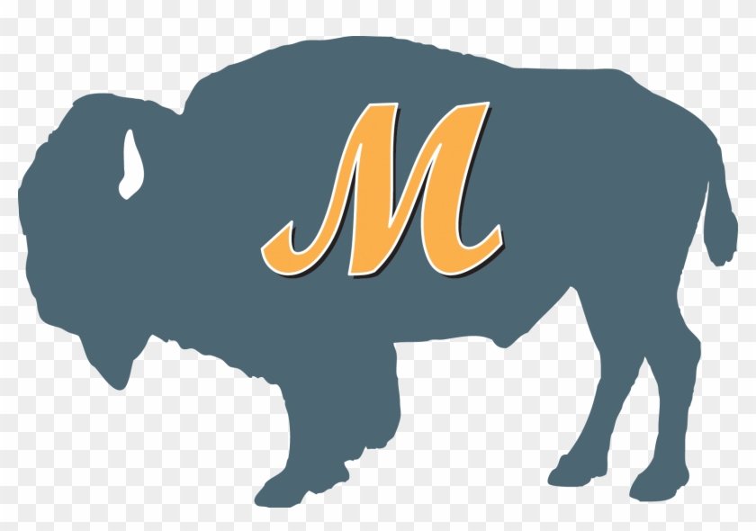 Bison Logo Clipart