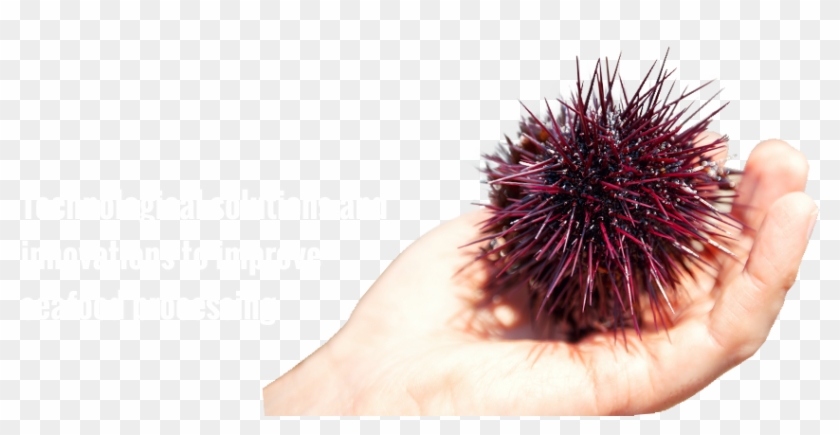 Hand Clipart #3888430